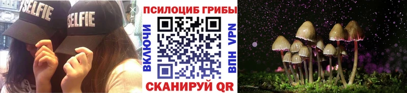 купить наркотик  Коряжма  Псилоцибиновые грибы прущие грибы 